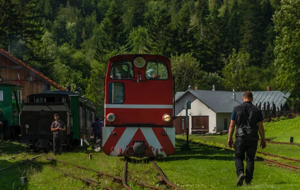 Tren Vía Estrecha Estación Majdan Con Pasajeros Verano Este Polonia —  Fotos de Stock