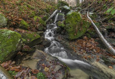 Bystrice kapsülü yakınlarındaki Cascade ve Creek Bystricka soğuk sonbahar gününde doğu Moravya 'daki Hostynem kasabası
