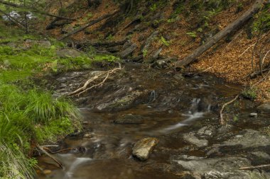 Yaz günü Kouty Nad Desnou köyünde küçük bir şelale.