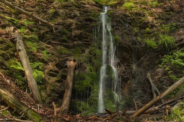 Wasserfall Der Nähe Des Dorfes Kouty Nad Desnou Sommer Wald — Stockfoto