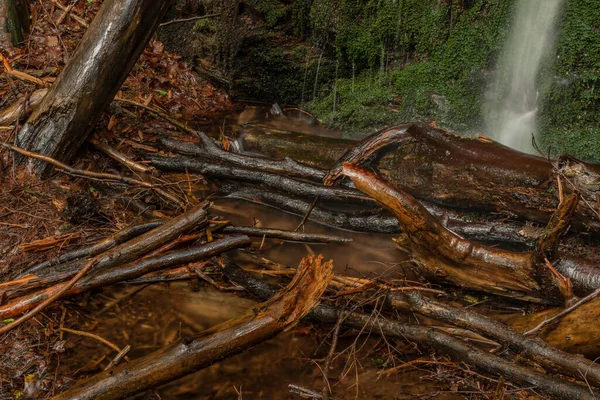 Cascata Vicino Villaggio Kouty Nad Desnou Giorno Estate Nella Foresta — Foto Stock