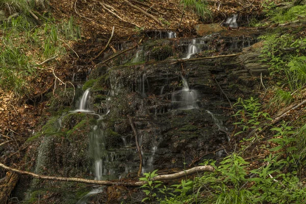 Vízesés Közelében Kouty Nad Desnou Falu Nyáron Erdőben — Stock Fotó