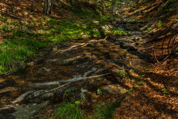 Kis Vízesés Közelében Kouty Nad Desnou Falu Nyáron Erdőben — Stock Fotó