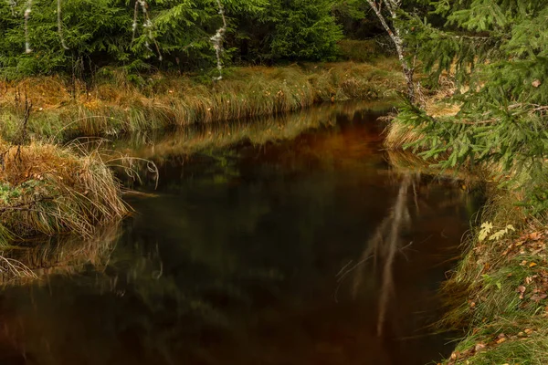 Jezerni Bach Herbstlichen Farbmorgen Mit Rotem Wasser Und Trockenem Gras — Stockfoto