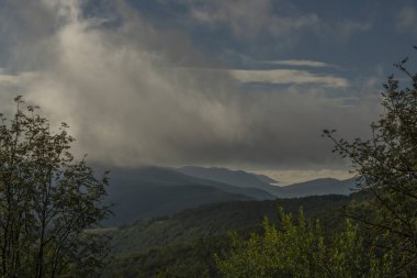 Güneşli yaz sabahında güneş doğarken Polonyalı milli parkın sırtından manzara