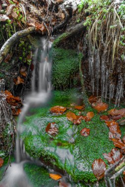 Karlı, güneşli bir günde, Luzicke dağlarındaki Jedlova istasyonunun yanındaki küçük soğuk dere.