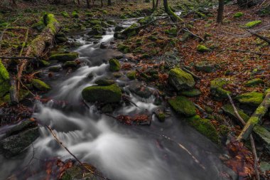 Soğuk kış gününde Moravskosske Beskydy dağlarındaki Bucaci deresinde şelale.