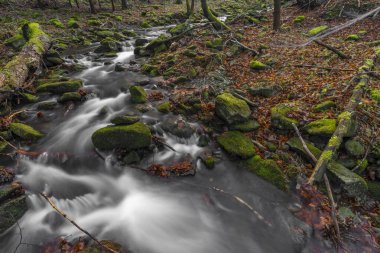 Soğuk kış gününde Moravskosske Beskydy dağlarındaki Bucaci deresinde şelale.