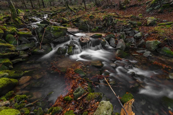 Cachoeira Bucaci Creek Moravskoslezske Beskydy Montanhas Frio Frio Frio Dia — Fotografia de Stock