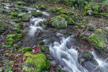 Soğuk kış gününde Moravskosske Beskydy dağlarındaki Bucaci deresinde şelale.