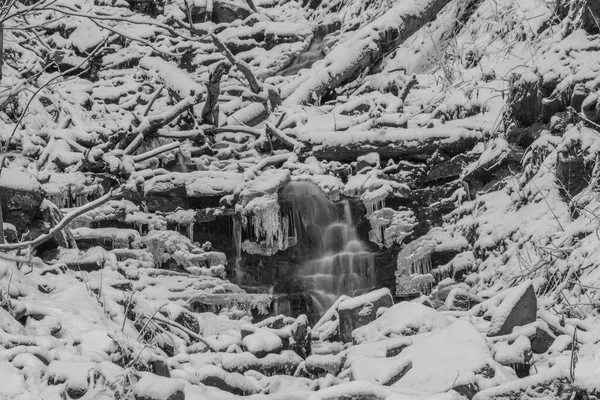 Vattenfall Bucaci Bäck Moravskoslezske Beskydy Bergen Frostig Kall Snöig Dag — Stockfoto