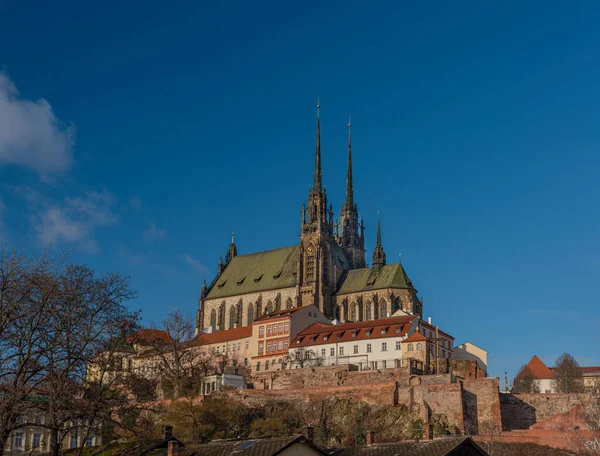 Catedral Brno Ciudad Sur Moravia Región Cielo Azul Soleado Frío — Foto de Stock