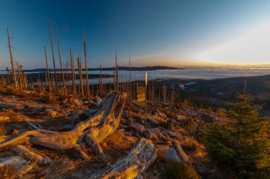 Sunrise on Plechy hill in the winter sunny cold morning in Sumava national park