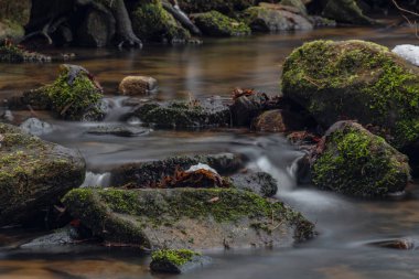 Kokotinsky dick creek with green moss stone in winter cold day in south Bohemia region