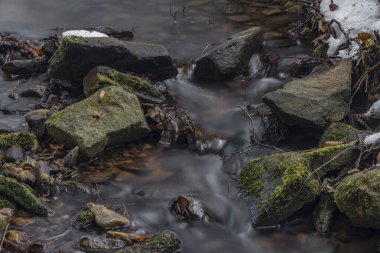 Kokotinsky dick creek with green moss stone in winter cold day in south Bohemia region