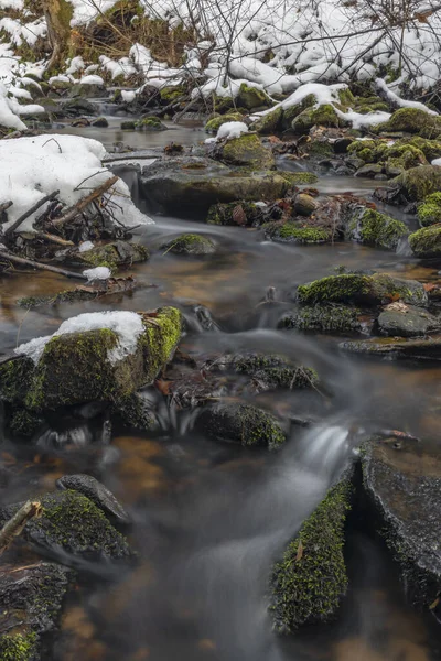 Kokotinsky Dick Creek Green Moss Stone Winter Cold Day South — Zdjęcie stockowe