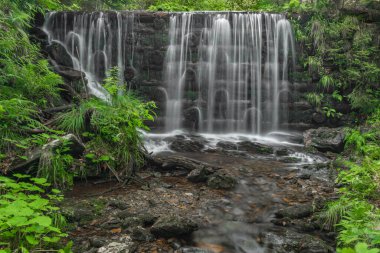 Desna Nehri, Kouty Nad Desnou Köyü Yazın sıcak renk gününde