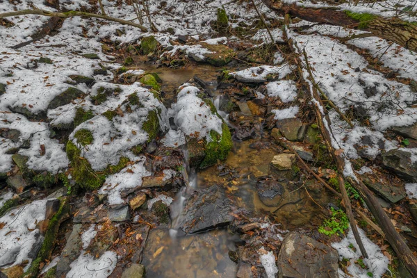 Pequeño Arroyo Cerca Zlata Koruna Pueblo Con Piedra Musgo Verde — Foto de Stock