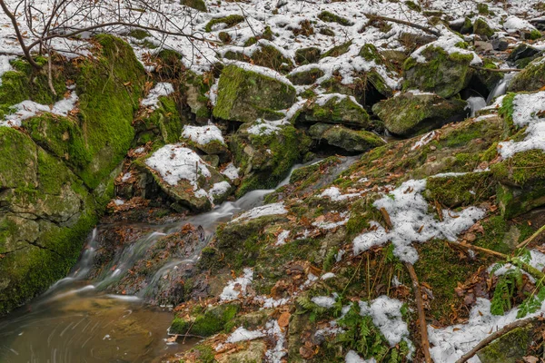 Pequeno Riacho Perto Aldeia Zlata Koruna Com Pedra Musgo Verde — Fotografia de Stock