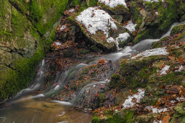 Μικρό Ρυάκι Κοντά Στο Χωριό Zlata Koruna Πράσινα Βρύα Χειμώνα — Φωτογραφία Αρχείου