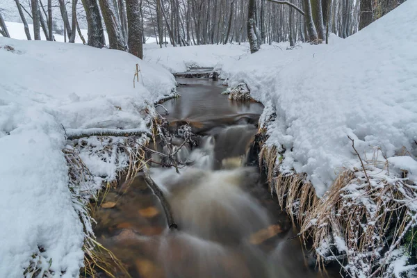 冬の寒い雪の朝にクルーズヌのペトロヴィツェ村の近くのオルソヴィ クリーク — ストック写真