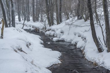 Krusne dağlarındaki Petrovice köyü yakınlarındaki Olsovy deresi. Kışın soğuk ve karlı bir sabah.