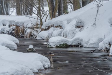 Krusne dağlarındaki Petrovice köyü yakınlarındaki Olsovy deresi. Kışın soğuk ve karlı bir sabah.