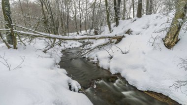 Krusne dağlarındaki Petrovice köyü yakınlarındaki Olsovy deresi. Kışın soğuk ve karlı bir sabah.