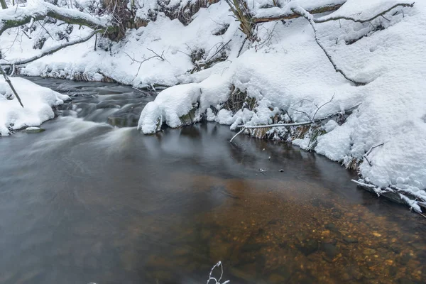 Olsovy Arroyo Cerca Petrovice Pueblo Las Montañas Krusne Invierno Fría — Foto de Stock