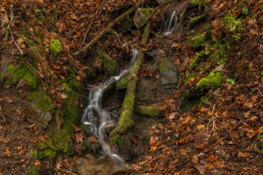 Güney Bohemya 'da soğuk kış gününde Doudlebsky şelalesi ile Malse nehrinin yanındaki küçük dere.