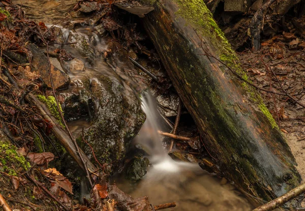 Kleiner Bach Der Nähe Des Flusses Malse Mit Doudlebsky Wasserfall — Stockfoto