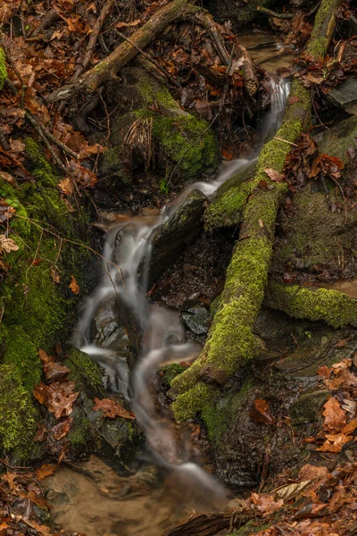 Pequeño Arroyo Cerca Del Río Malse Con Cascada Doudlebsky Frío —  Fotos de Stock