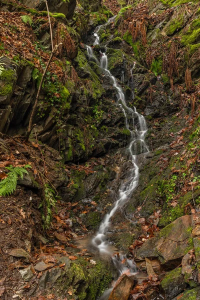 Kleiner Bach Der Nähe Des Flusses Malse Mit Doudlebsky Wasserfall — Stockfoto