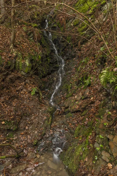 Pequeño Arroyo Cerca Del Río Malse Con Cascada Doudlebsky Frío — Foto de Stock