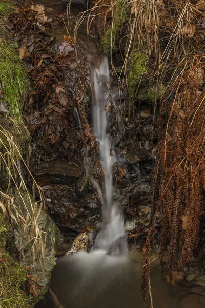 Pequeño Arroyo Cerca Del Río Malse Con Cascada Doudlebsky Frío —  Fotos de Stock