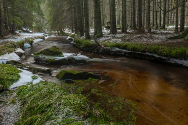 Svetla deresi kışın karlı soğuk bir sabah ve güneş ışığı