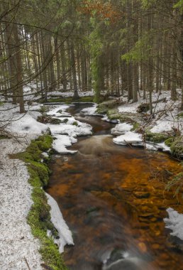 Svetla deresi kışın karlı soğuk bir sabah ve güneş ışığı