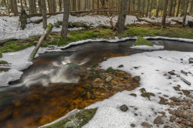 Svetla deresi kışın karlı soğuk bir sabah ve güneş ışığı