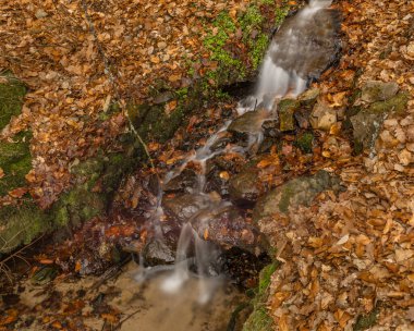 Hluboka nad Vltavou 'nun kuzeyindeki Vltava nehrinin yanında şelalesi olan küçük bir dere.