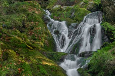 Cerna, baharda Sumava Ulusal Parkı 'ndaki Cerny Deresi' ne şelale serer.