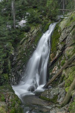 Baharın renk gününde Sumava Ulusal Parkı 'ndaki Billy Deresi' nde Bila strz Şelalesi
