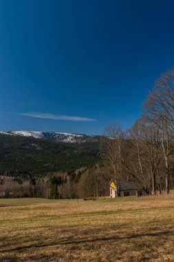 Brcalnik küçük köyü ile Uhlava Vadisi 'nde bahar rengi taze çayır.