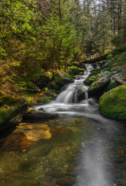 Bahar günü Sumava Ulusal Parkı 'nda Cerny Deresi yakınlarında küçük bir dere.