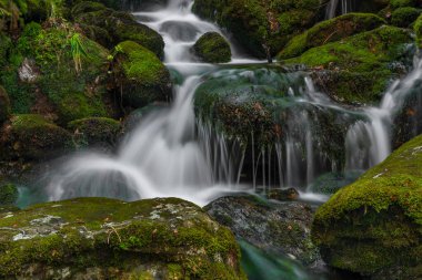 Cerna, baharda Sumava Ulusal Parkı 'ndaki Cerny Deresi' ne şelale serer.