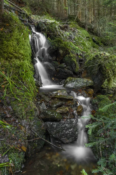 Černý Vodopád Černém Potoce Národním Parku Šumava Jaře — Stock fotografie