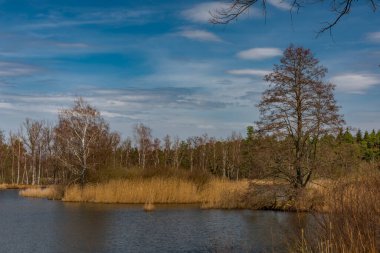 Güney Bohemya 'nın mavi göleti ilkbaharda güneşli, taze, renkli bir günde