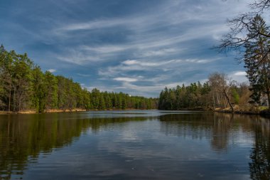 Güney Bohemya 'nın mavi göleti ilkbaharda güneşli, taze, renkli bir günde