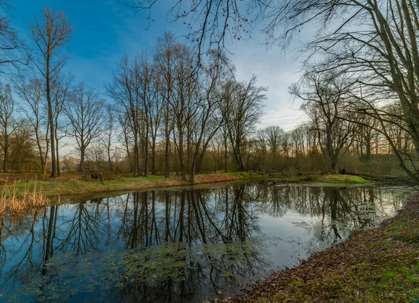 Nature Pools Budweis City Sunrise Color Spring Fresh Morning — Φωτογραφία Αρχείου