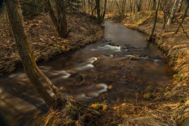Soğuk bahar güneşli sabahında Rajec köyü yakınlarındaki Olsovy deresi