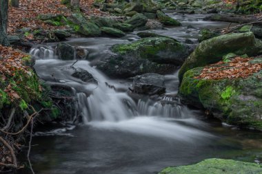 Baharın renk gününde, Sumava Ulusal Parkı 'ndaki Billy Creek' teki Bila Strz Şelalesi yakınlarındaki Billy Creek 'te.
